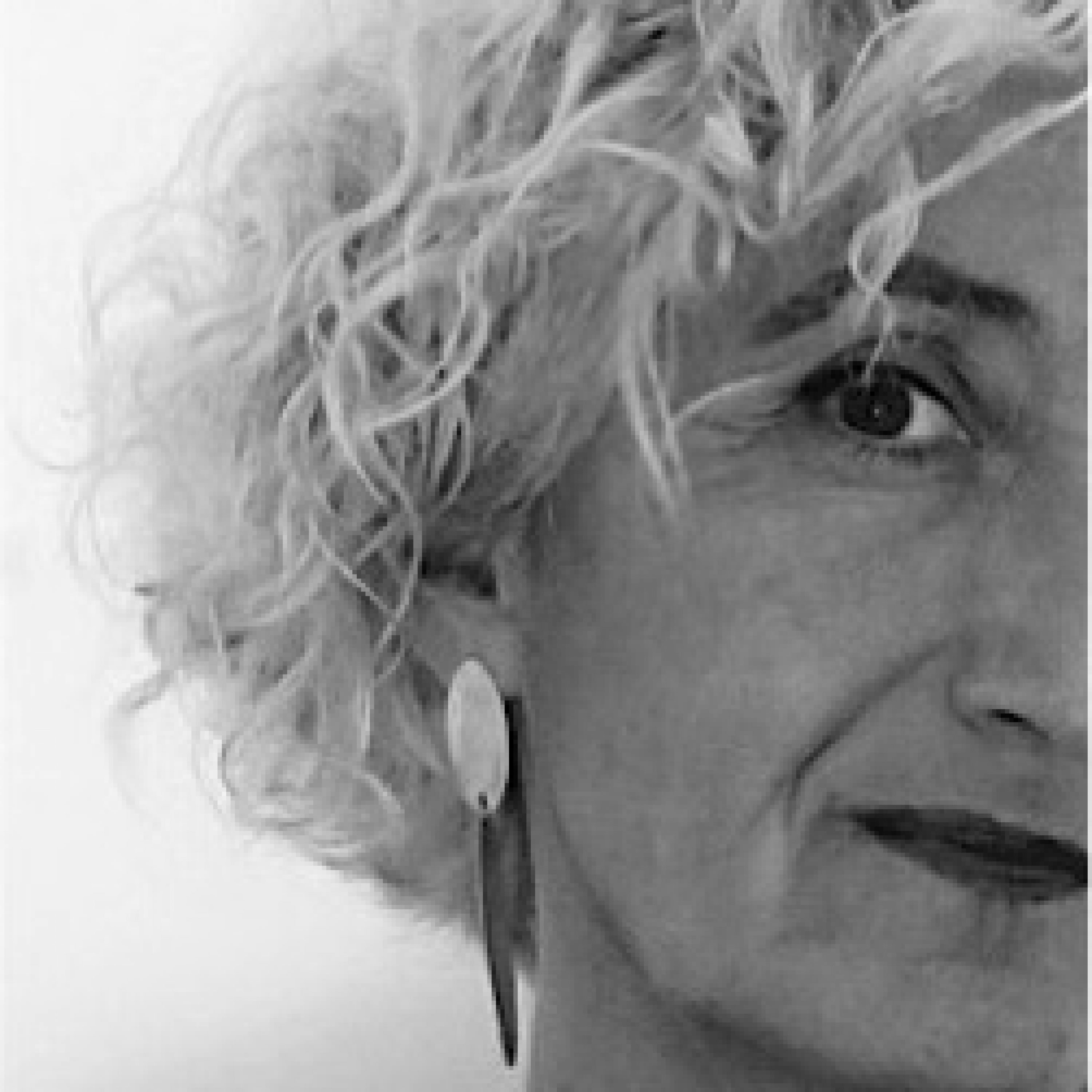 Foto della professoressa Colafranceschi DAniela