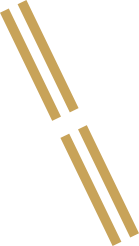 Logo Diarc dorato slash