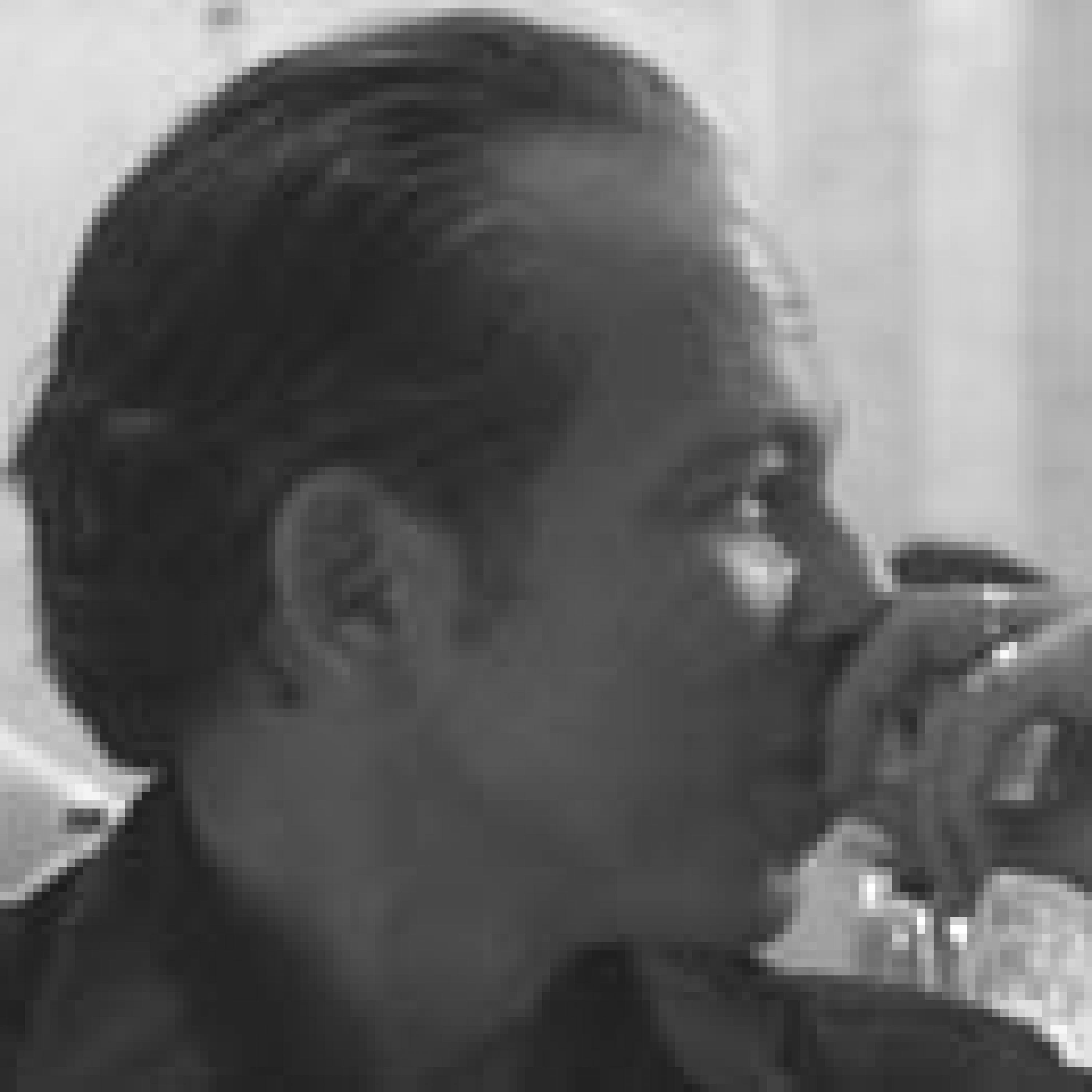 Foto prof Russo Ermolli